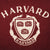 VINTAGE CHAMPION HARVARD UNIVERSITY SWEATSHIRT 1980S LARGE MADE IN USA