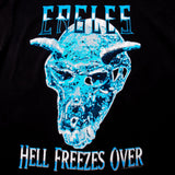 Vintage Original Eagles Hell Freezes Over Tour Tee Shirt 1995 Size XL Made In USA With Single Stitch.  