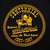 VINTAGE NEBRASKALAND CENTENNIAL SWEATSHIRT 1967 SIZE MEDIUM MADE IN USA
