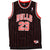 Vintage Champion NBA Chicago Bulls embroidered Michael Jordan number 23, from the 1990s Size XXL Made In Korea.