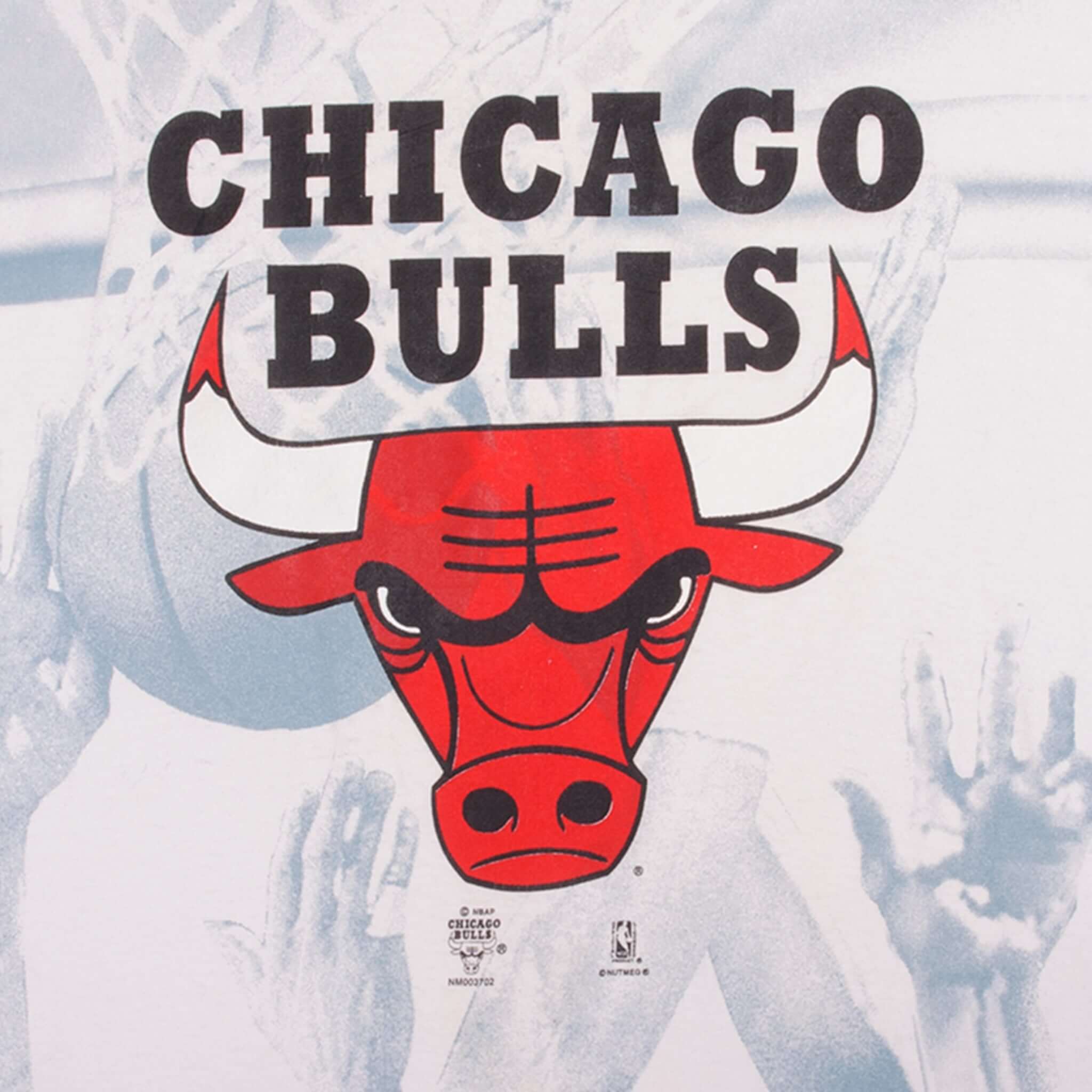 Vintage All Over Print NBA Chicago Bulls Champions Tee Shirt 2000S Size Large. Made In USA