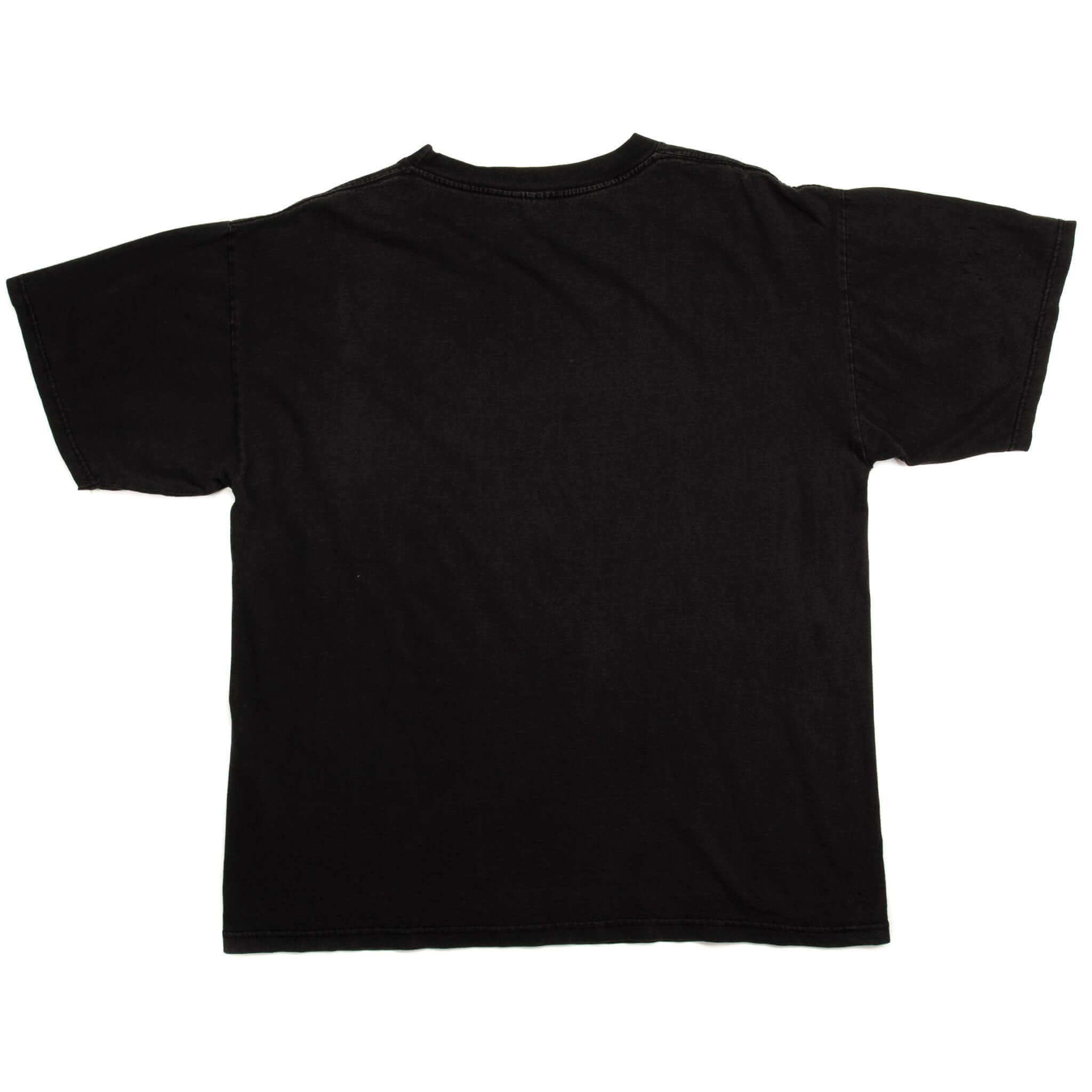 VINTAGE NBA CHICAGO BULLS CHAMPIONS TEE SHIRT 1996 SIZE LARGE