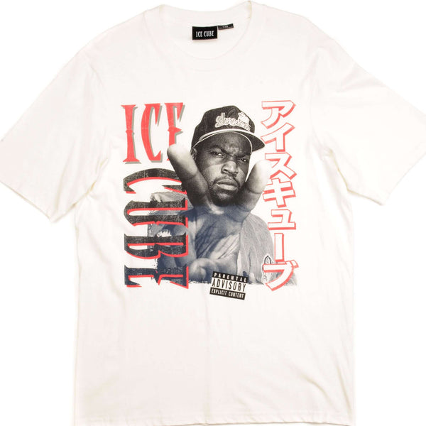 CAMISETA VINTAGE CON CUBO DE HIELO, TALLA GRANDE