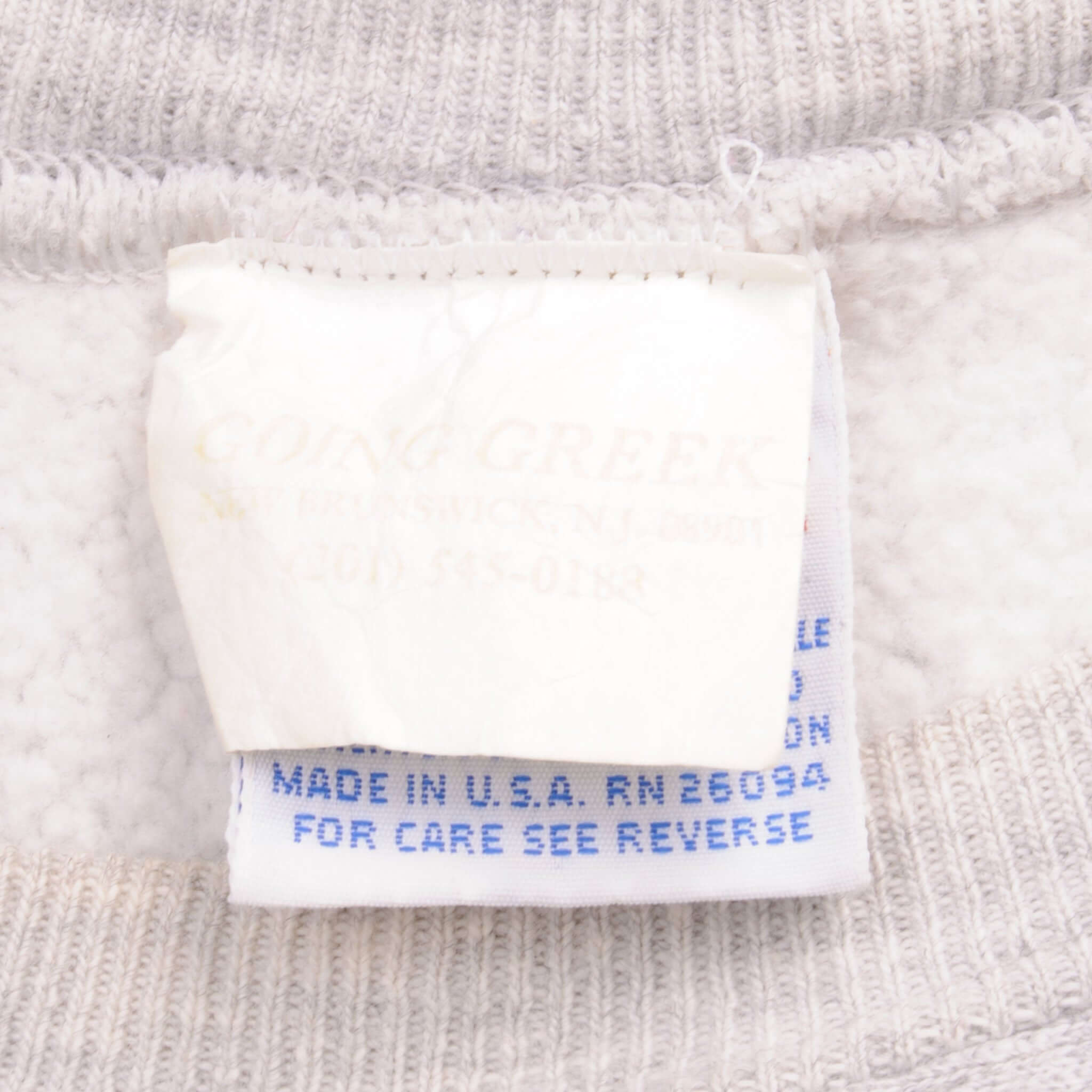 Vintage Champion Reverse Weave Fraternity ZBT Zeta Beta Tau Sweatshirt 1990S Size L Made In Usa