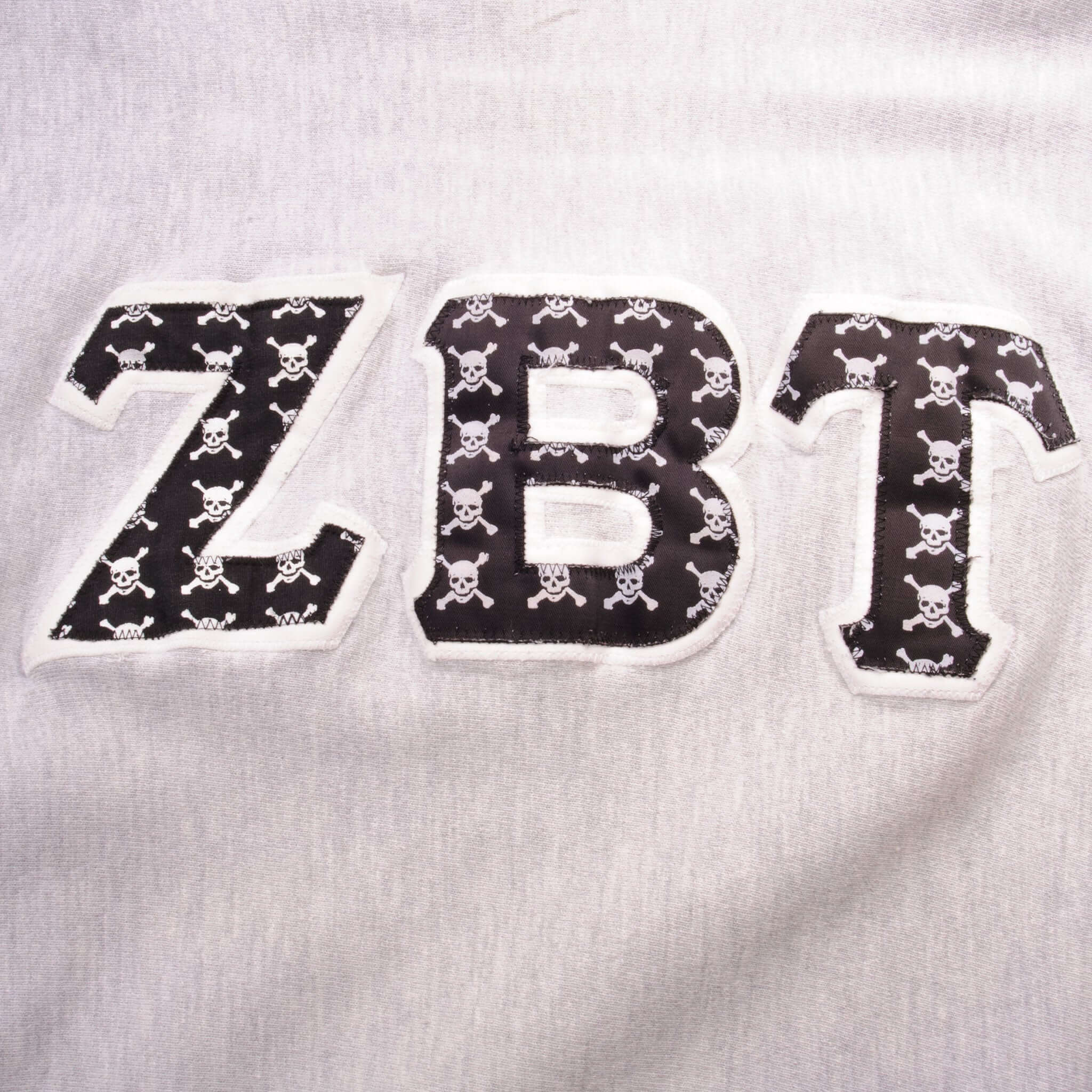 Vintage Champion Reverse Weave Fraternity ZBT Zeta Beta Tau Sweatshirt 1990S Size L Made In Usa