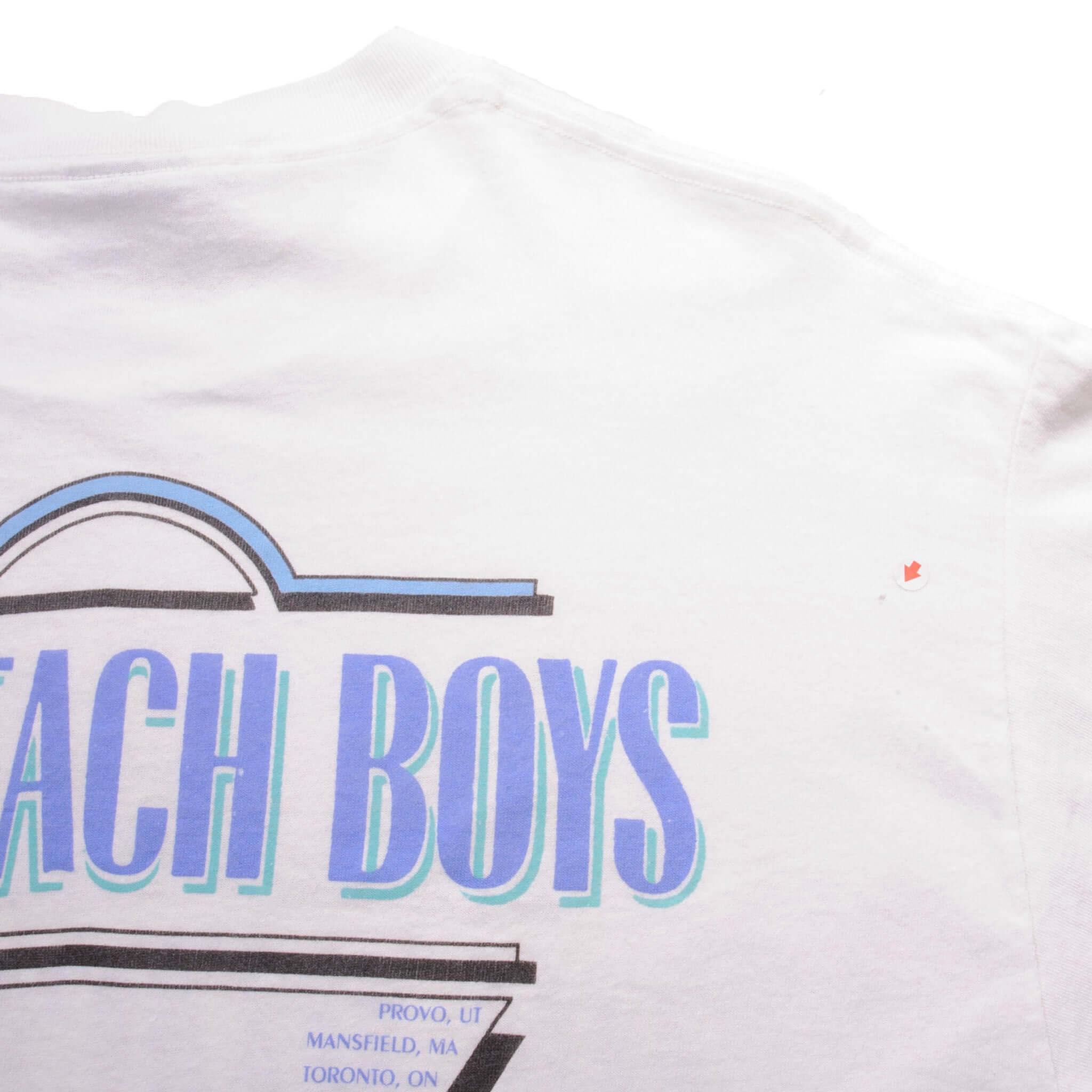 Vintage Beach Boys 30Th Anniversary Tee Shirt 1992 Size Large Made In USA With Single Stitch Sleeves