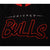 VINTAGE STARTER NBA CHICAGO BULLS HOODIE SWEATSHIRT SIZE XL 1990s