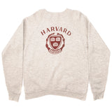 Vintage Champion Harvard University Sweatshirt Early 1980'S-1990 Size Large Made In USA. GREY