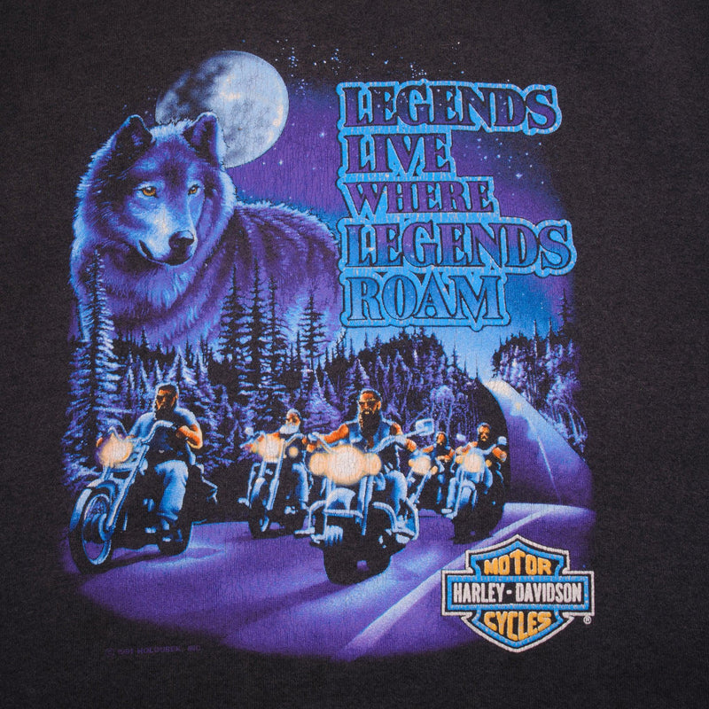 Vintage Harley Davidson Schoch Ponoco Mountain Stroudsburg, PA 1992 Sweatshirt Size Large Made In USA