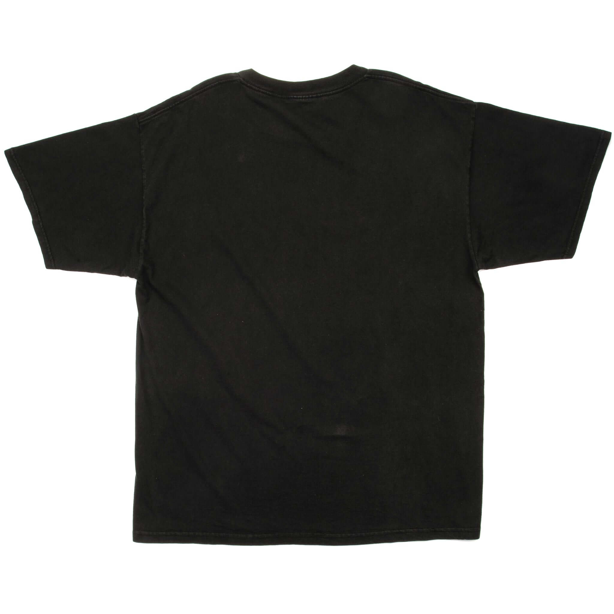 VINTAGE NASCAR DALE EARNHARDT & DALE EARNHARDT JR TEE SHIRT 1999 SIZE XL