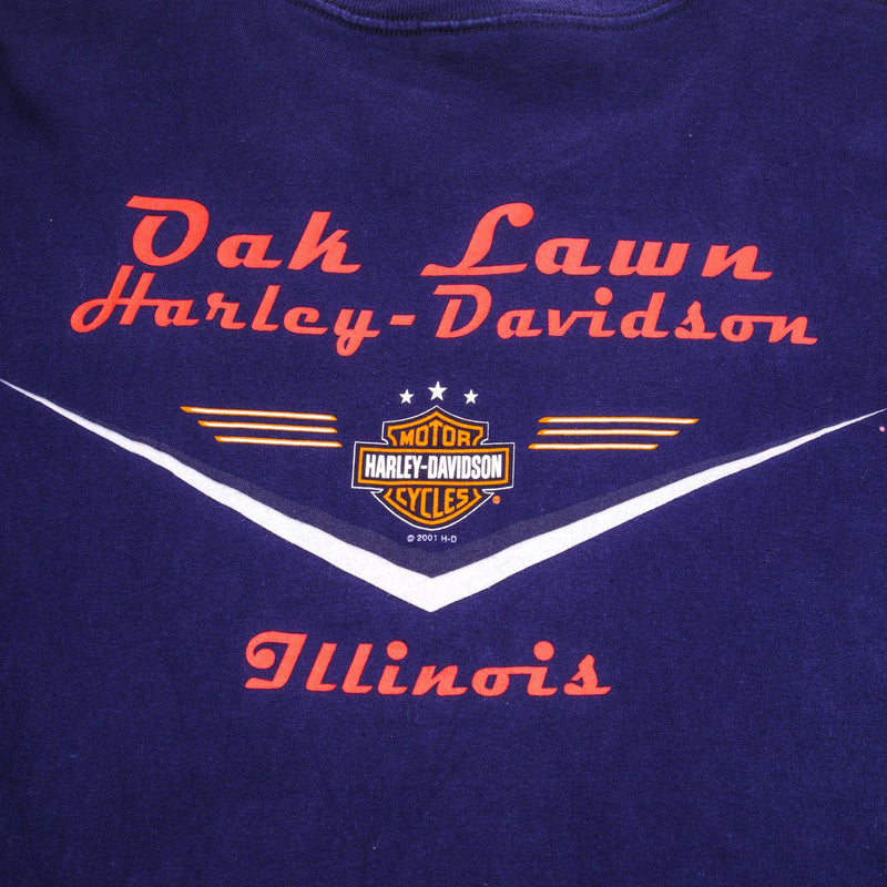 Vintage Harley Davidson Dragon Oak Lawn Illinois 2001 Tee Shirt Size XL Made In Usa 