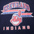 Vintage Mlb Cleveland Indians Champion Tee Shirt 1988 Size Large Made In Usa With Single Stitch Sleeves