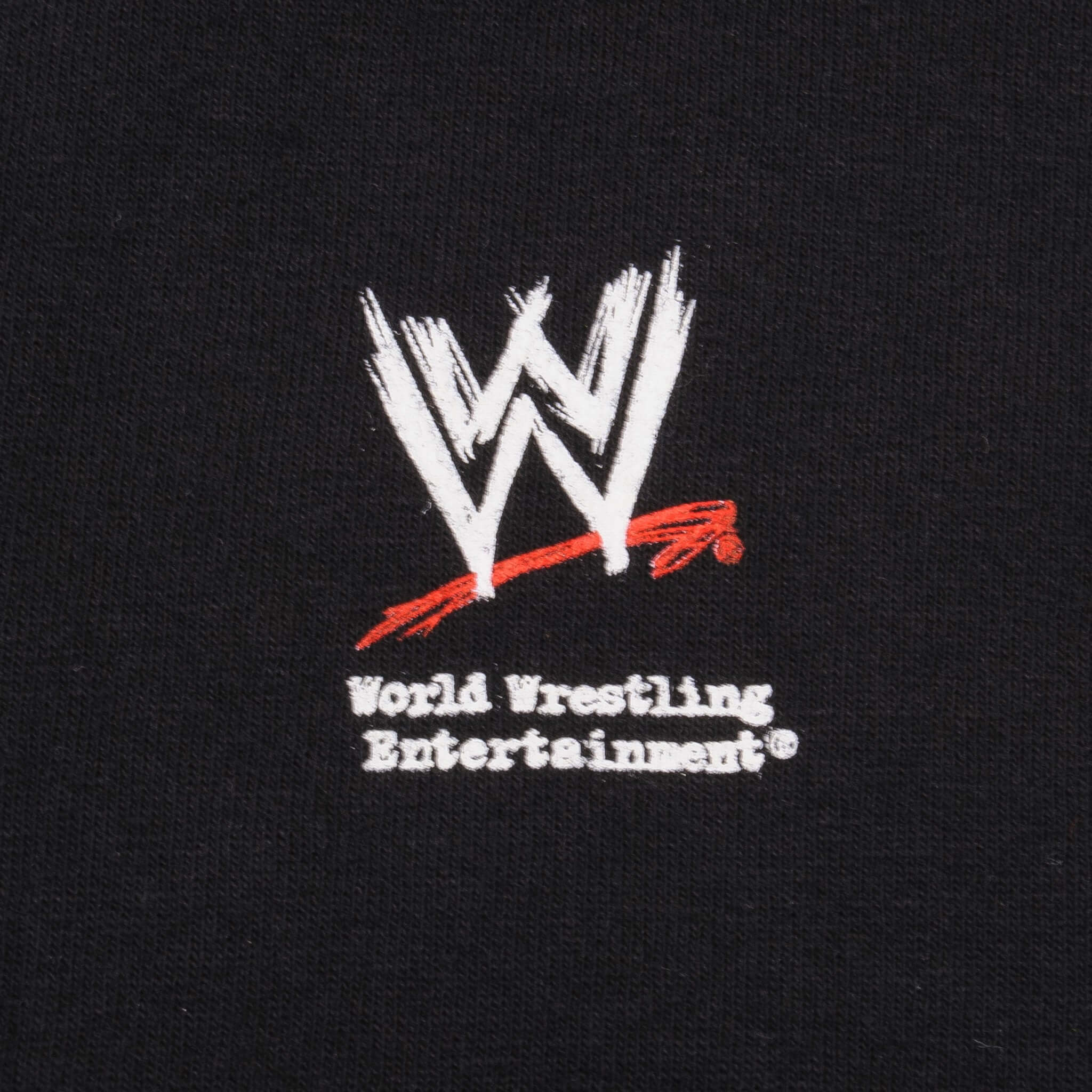 Vintage WWE World Wrestling Federation D Generation X 3D Print Tee Shirt 2007 Size XL