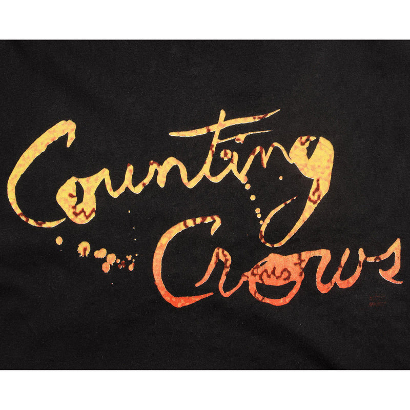 VINTAGE COUNTING CROWS AUGUST AND EVERYTHING AFTER TOUR TEE SHIRT 1993 SIZE LARGE