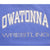 VINTAGE CHAMPION REVERSE WEAVE OWATONNA WRESTLING SWEATSHIRT 1990S XL MADE USA