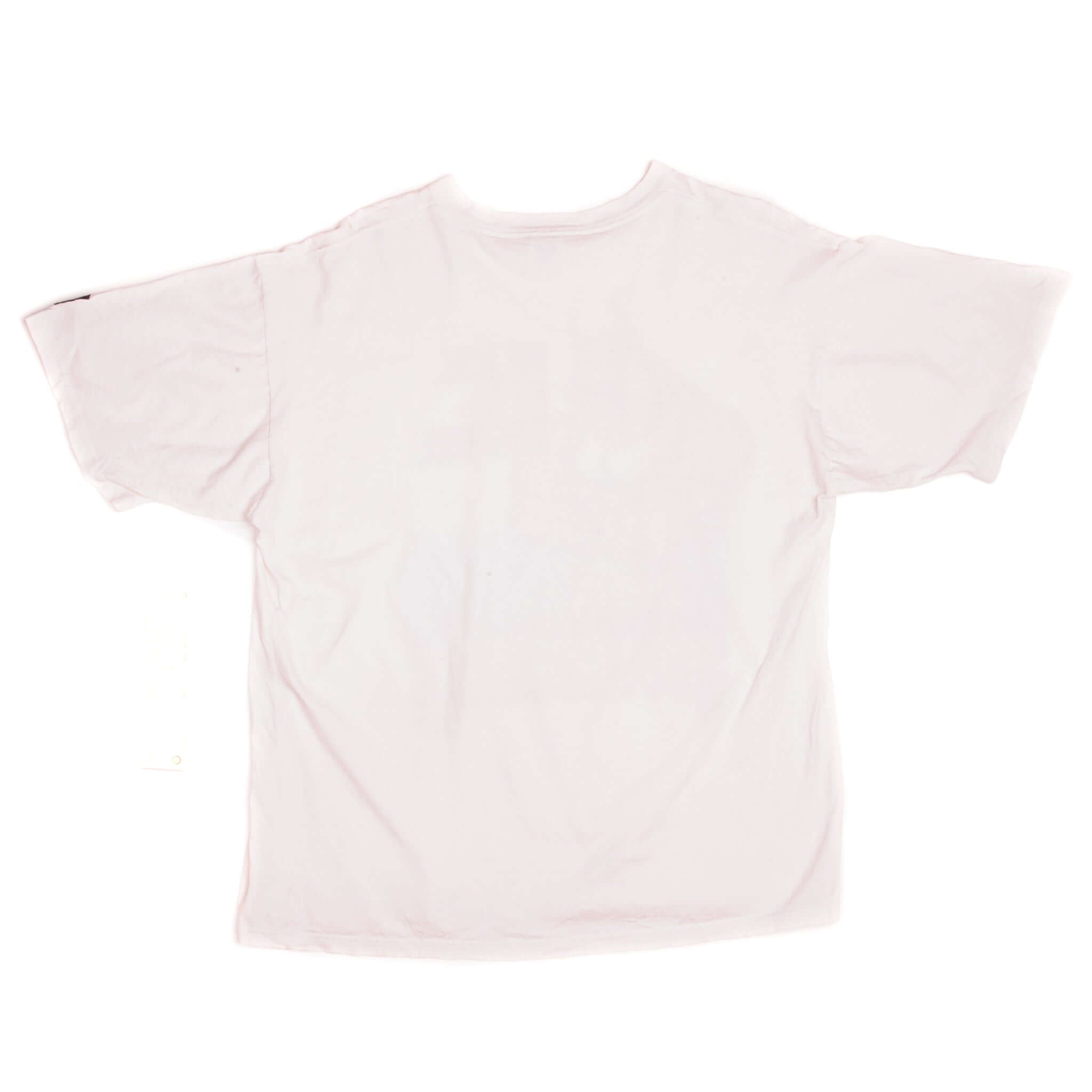 Vintage Starter NBA Champs Chicago Bulls 1996 The Best Ever Anywhere Tee Shirt Size Large With Single Stitch Sleeves.