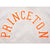 VINTAGE CHAMPION REVERSE WEAVE PRINCETON SWEATSHIRT 1990-MID 1990'S SIZE XL MADE IN USA