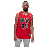 VINTAGE NIKE JERSEY NBA CHICAGO BULLS MICHAEL JORDAN #45 JERSEY SIZE LARGE 1990s