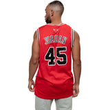 VINTAGE NIKE JERSEY NBA CHICAGO BULLS MICHAEL JORDAN #45 JERSEY SIZE LARGE 1990s